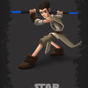 Quadro em Lona Rey Star Wars