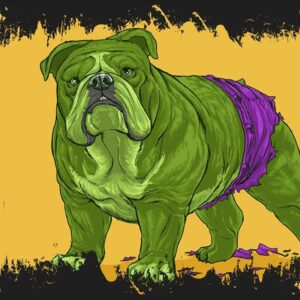 44 Quadro em Lona Dog Hulk
