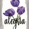 Quadro em Lona Borda Infinita Floral Alegria