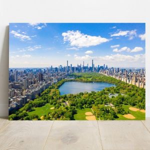 Quadro Borda Infinita Central Park