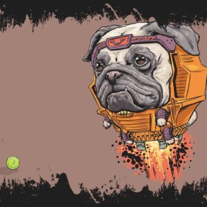 76 Quadro em Lona Pug Hero