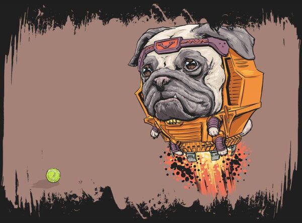 Quadro em Lona Pug Hero