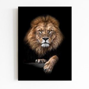 Quadro em Lona Leão