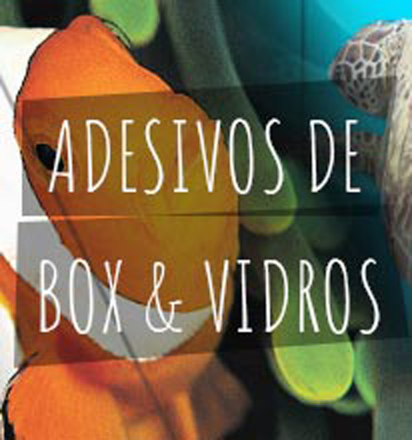 header Box e vidros