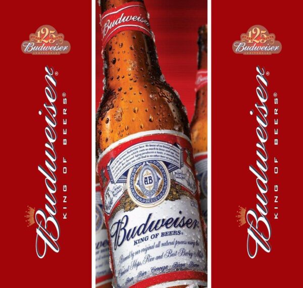 Adesivo de Geladeira Cervejas, Refri e Whisky