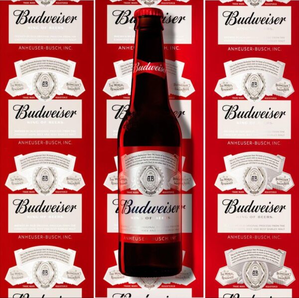 223.jpg Adesivo de Geladeira Cervejas, Refri e Whisky