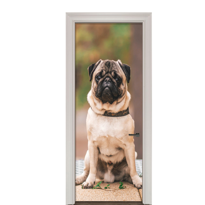 Adesivo de Porta Cachorro Pug