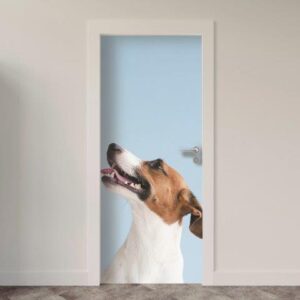 Adesivo de Porta Cachorro