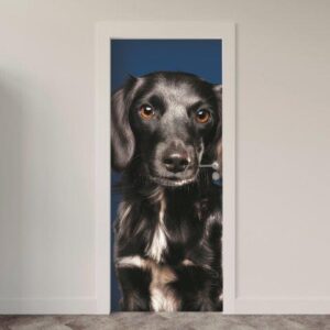 Adesivo de Porta Cachorro