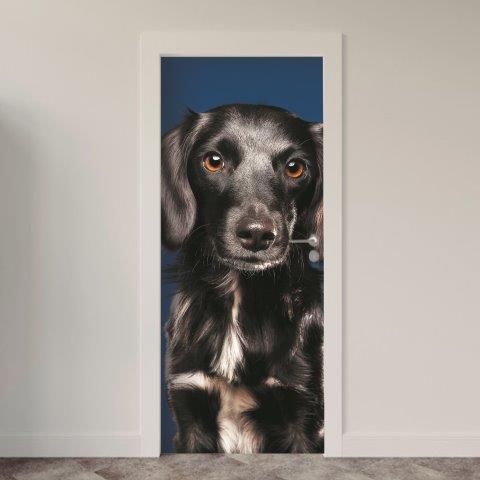 108.jpg Adesivo de Porta Cachorro