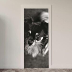 109.jpg Adesivo de Porta Cachorro