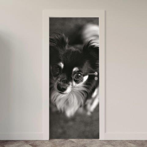 109.jpg Adesivo de Porta Cachorro