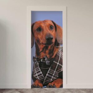 111.jpg Adesivo de Porta Cachorro