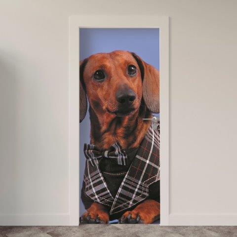 111.jpg Adesivo de Porta Cachorro