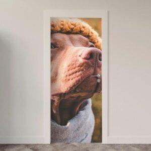 112.jpg Adesivo de Porta Cachorro