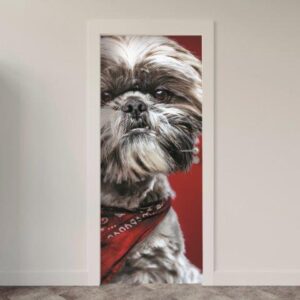113.jpg Adesivo de Porta Cachorro
