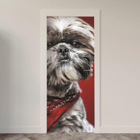 113.jpg Adesivo de Porta Cachorro