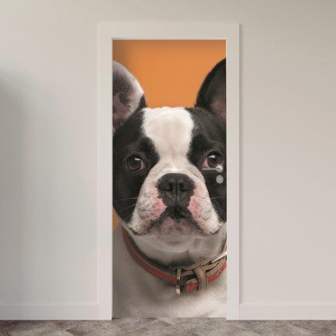 115.jpg Adesivo de Porta Cachorro