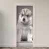 117.jpg Adesivo de Porta Cachorro
