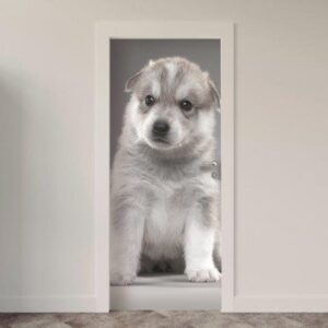 117.jpg Adesivo de Porta Cachorro