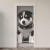 Adesivo de Porta Cachorro