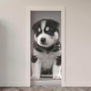 118.jpg Adesivo de Porta Cachorro