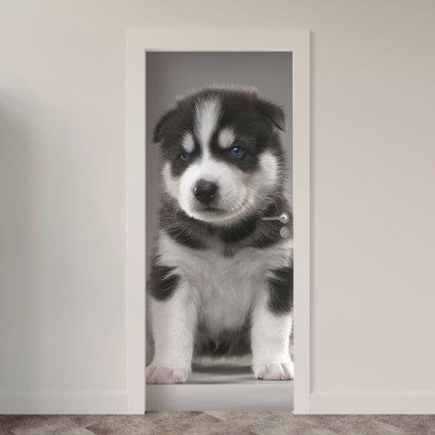 Adesivo de Porta Cachorro