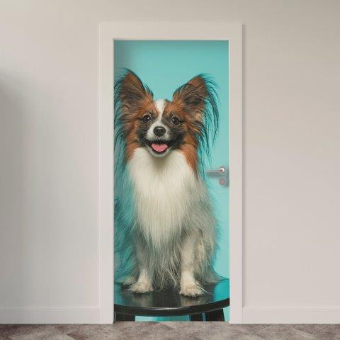 Adesivo de Porta Cachorro