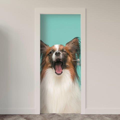 Adesivo de Porta Cachorro
