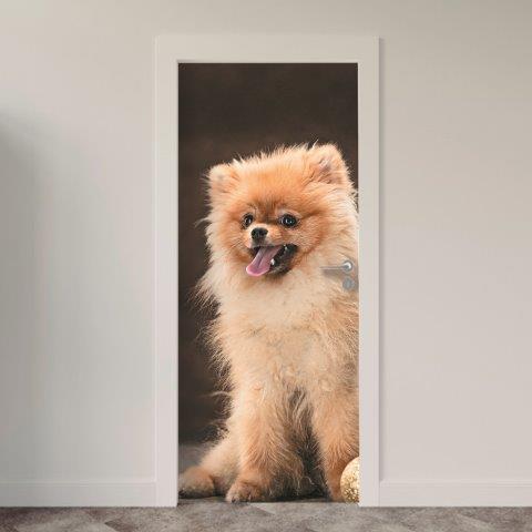 123.jpg Adesivo de Porta Cachorro