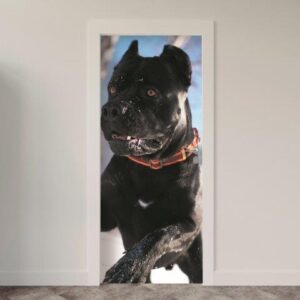 126.jpg Adesivo de Porta Cachorro
