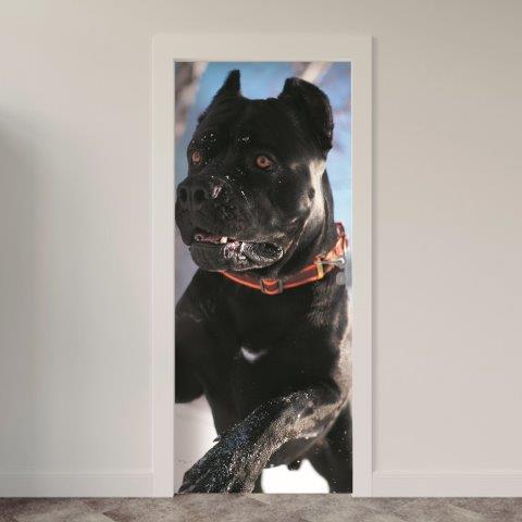 126.jpg Adesivo de Porta Cachorro