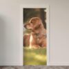 128.jpg Adesivo de Porta Cachorro