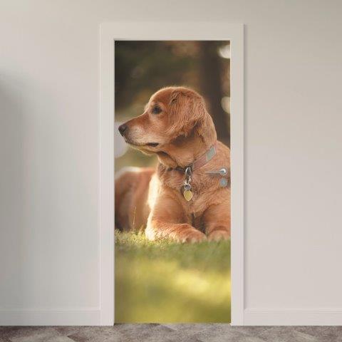 128.jpg Adesivo de Porta Cachorro