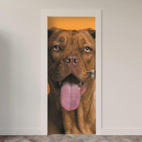 129.jpg Adesivo de Porta Cachorro
