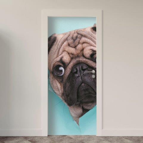 Adesivo de Porta Cachorro