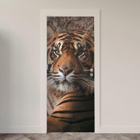 Adesivo de Porta Tigre