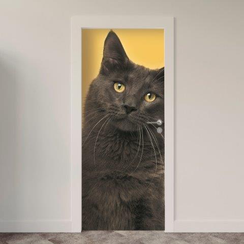 Adesivo de Porta Gatos