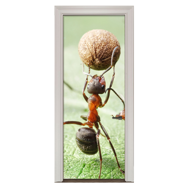 Adesivo de Porta Formiga Cod.14