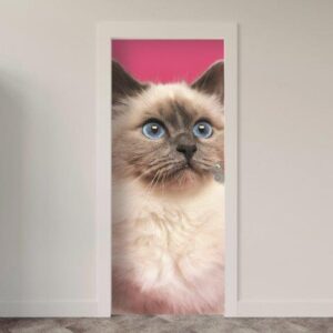 140.jpg Adesivo de Porta Gatos