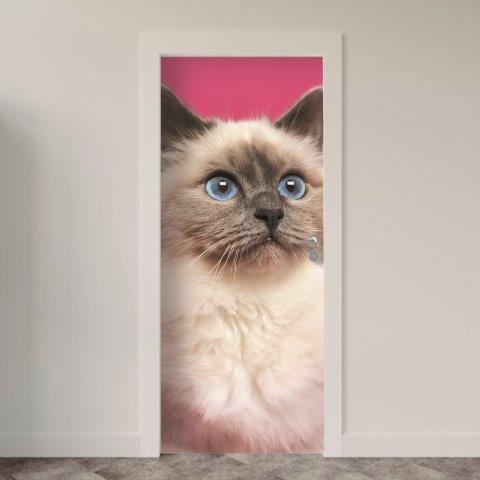 140.jpg Adesivo de Porta Gatos