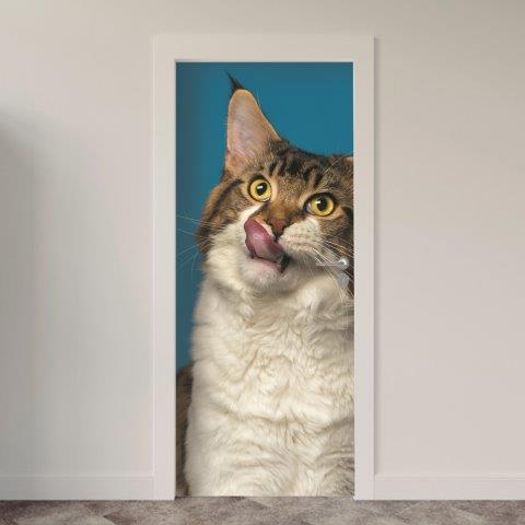 141.jpg Adesivo de Porta Gatos