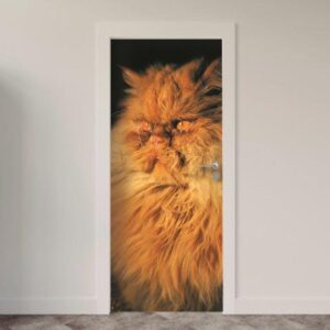 142.jpg Adesivo de Porta Gatos