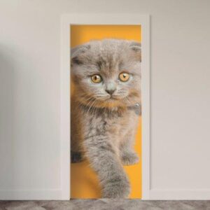 143.jpg Adesivo de Porta Gatos