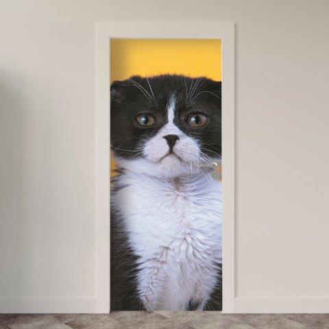 144.jpg Adesivo de Porta Gatos