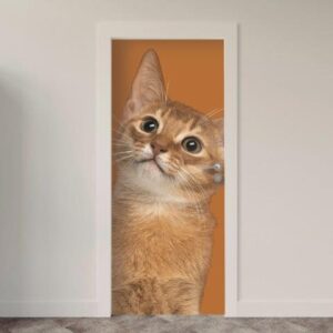 145.jpg Adesivo de Porta Gatos