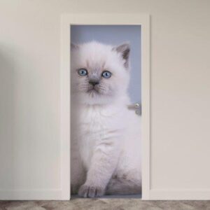 147.jpg Adesivo de Porta Gatos