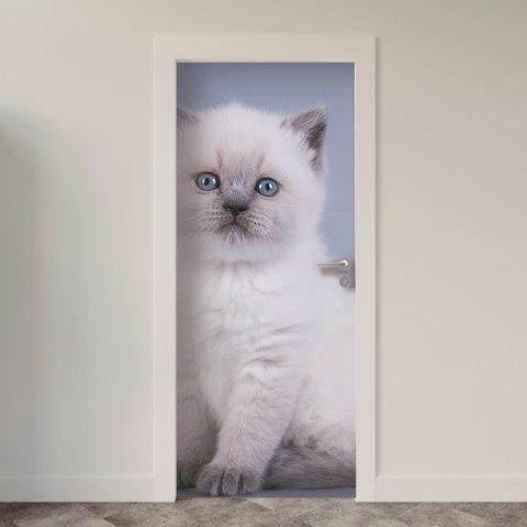 147.jpg Adesivo de Porta Gatos