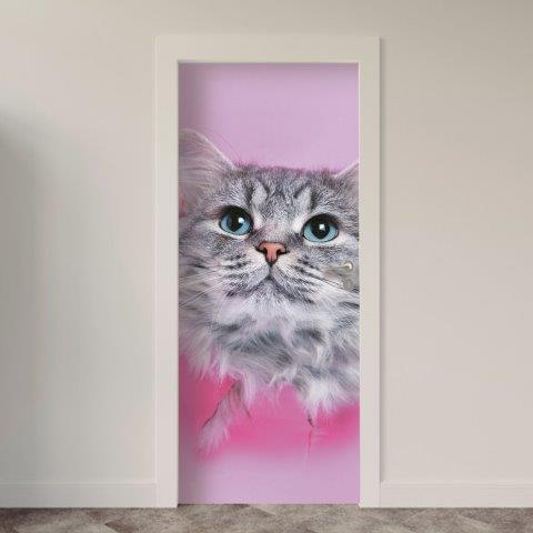 148.jpg Adesivo de Porta Gatos