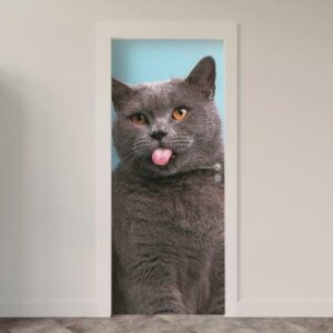 149.jpg Adesivo de Porta Gatos